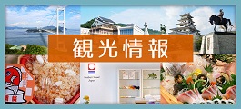 観光情報