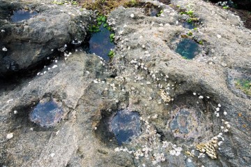 島の周りには桟橋の柱穴跡が見られます